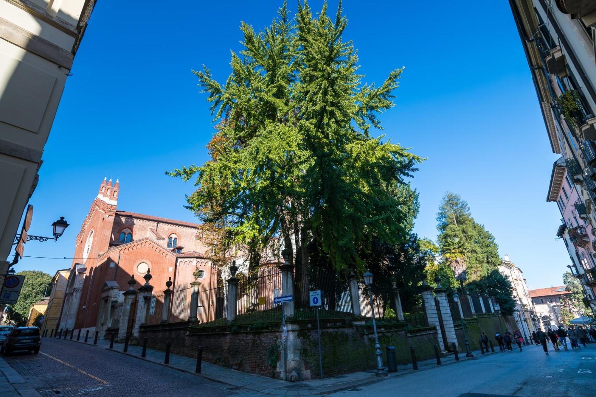 ויצ'נצה Residenza Corso Palladio 159 מראה חיצוני תמונה